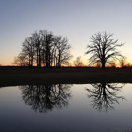 ゲストハウス Elbeflair Bei Doemitz 3*