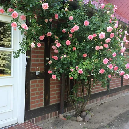 ゲストハウス Elbeflair Bei Doemitz Lenzerwische