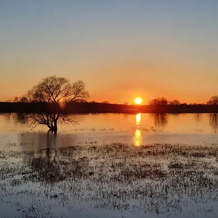 Elbeflair Bei Doemitz Lenzerwische