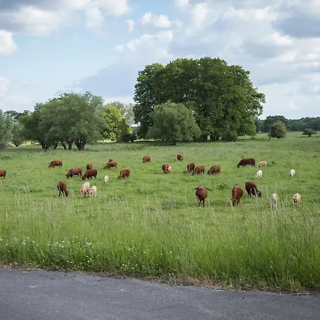 Elbeflair Bei Doemitz Lenzerwische