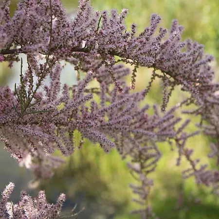 Casa de hóspedes Elbeflair Bei Doemitz