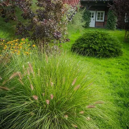 ゲストハウス Elbeflair Bei Doemitz 3*