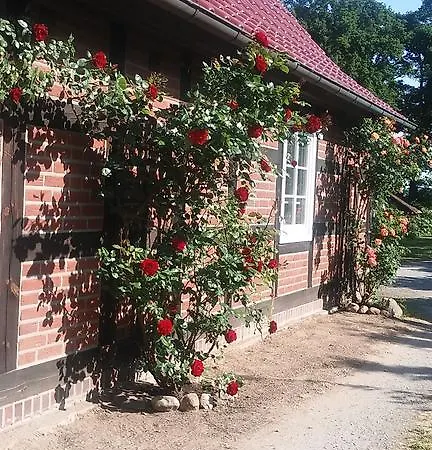 Elbeflair Bei Dömitz Gasthof