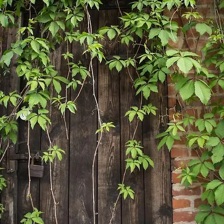 Elbeflair Bei Doemitz Casa de hóspedes