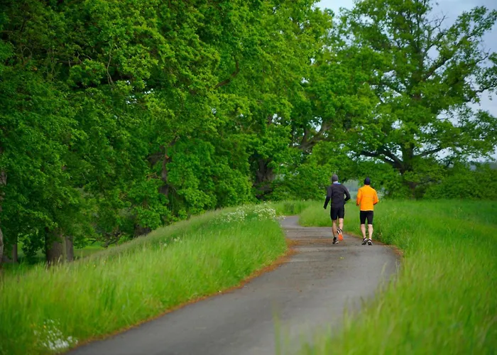 Pensionat Elbeflair Bei Doemitz Lenzerwische