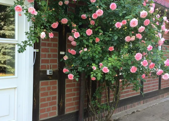 Maison d'hôtes Elbeflair Bei Doemitz Lenzerwische