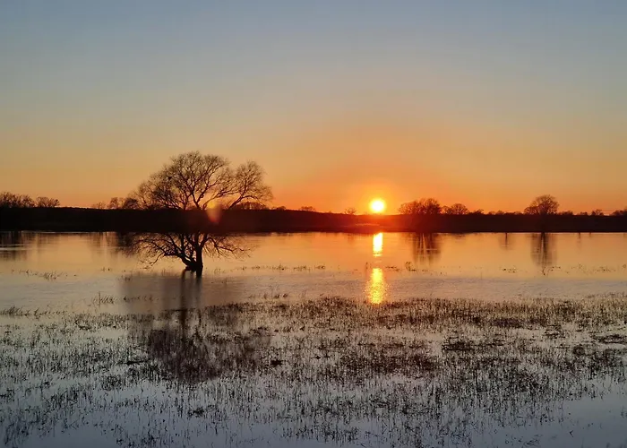 Elbeflair Bei Doemitz Lenzerwische