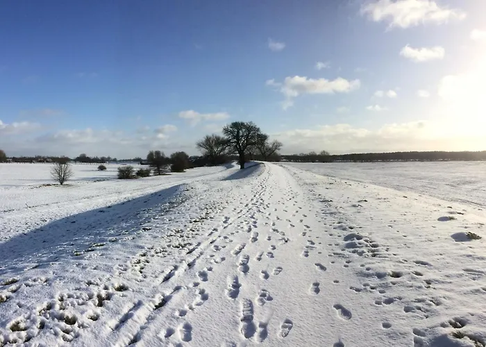Elbeflair Bei Doemitz