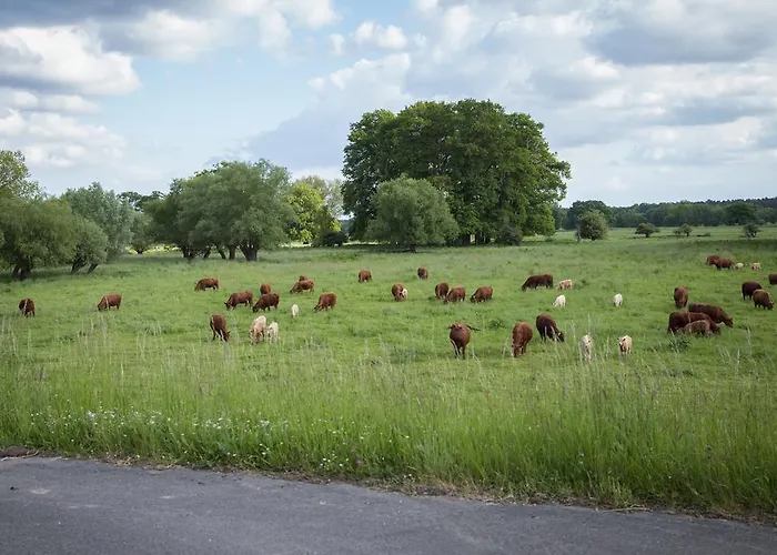 Elbeflair Bei Doemitz Lenzerwische
