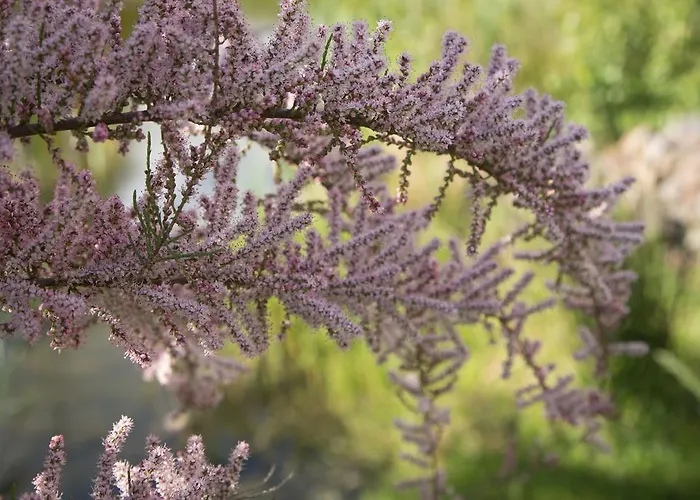 Pensionat Elbeflair Bei Doemitz