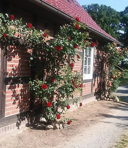 Elbeflair Bei Doemitz Pensionat