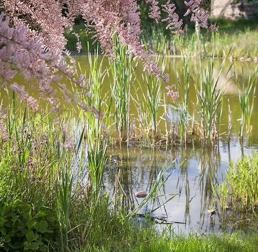 Pensionat Elbeflair Bei Doemitz