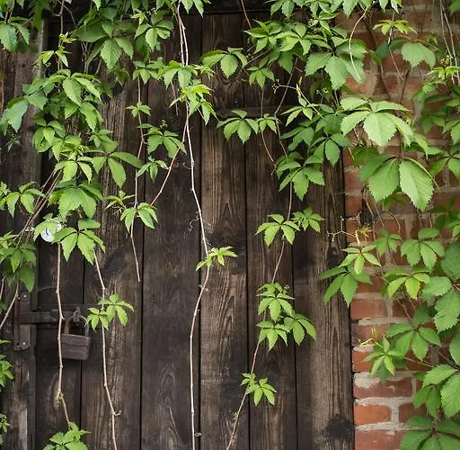 Elbeflair Bei Doemitz Pensionat